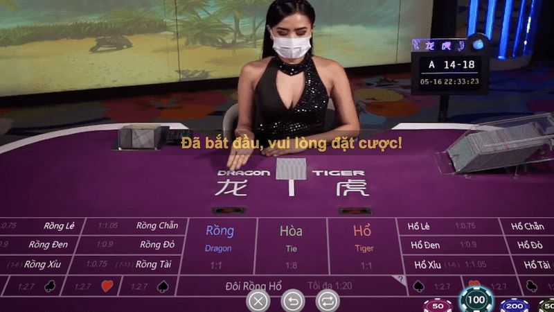 Cách chơi rồng hổ tại Rikvip: Hướng dẫn chi tiết từ A đến Z 1 Bạn có biết cách chơi Rồng Hổ cơ bản không?